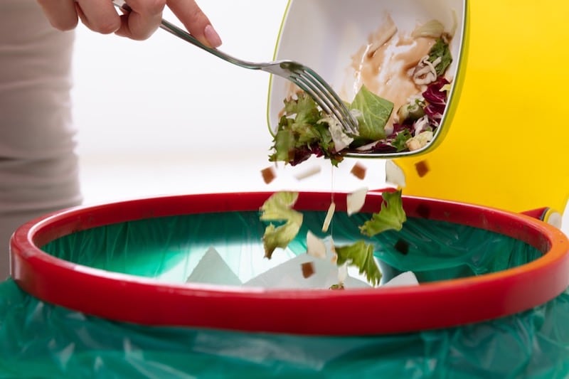 What to Do With Leftover Food While Camping