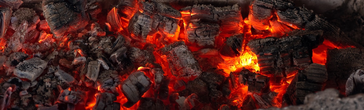 Top 5 Best Charcoals For Grilling