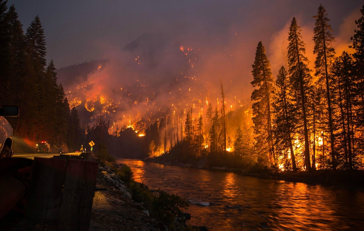 What Should You Do to Survive a Forest Fire? How to Survive in Your Home, Your Car, or On Foot