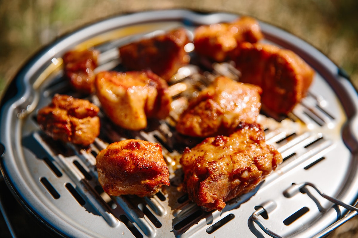 Top 5 Best Portable Grills for Camping