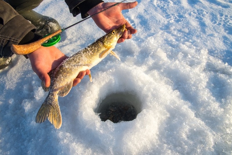 How to Pick an Ice Fishing Location