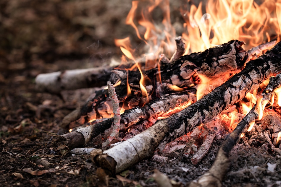 Use Firewood Before it Rots
