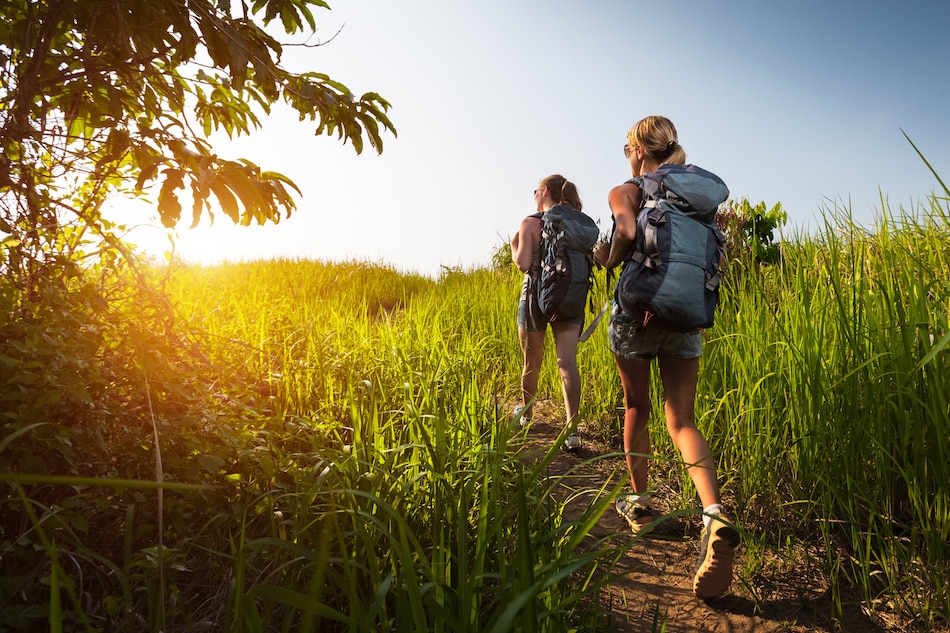 The Ultimate Hiking Guide for Beginner Hikers