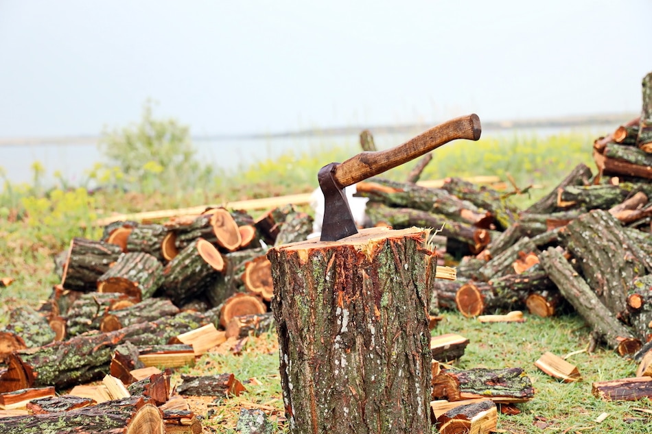 Gather Firewood From Your Property