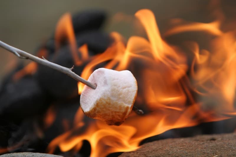 How to Roast Perfect Marshmallows While Camping