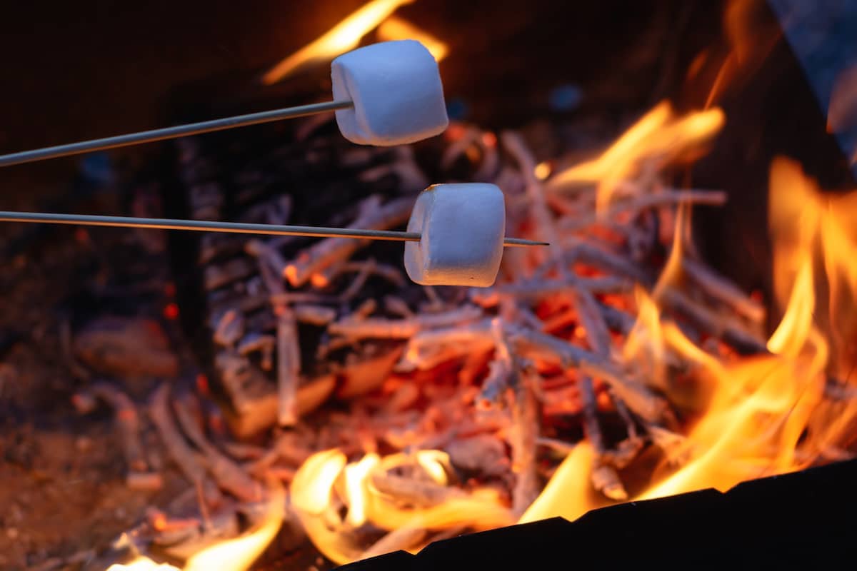 Top 5 Best Marshmallow Roasting Sticks