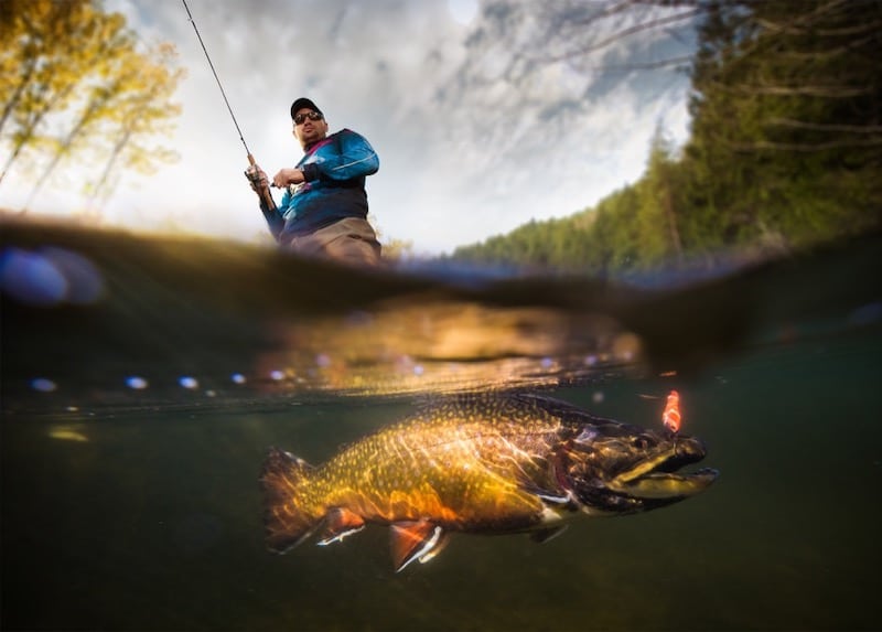 When to Use Specialty Rods
