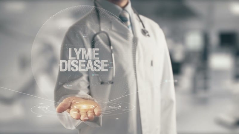 Lyme Disease: Prevention, Identification, and Treatment Options