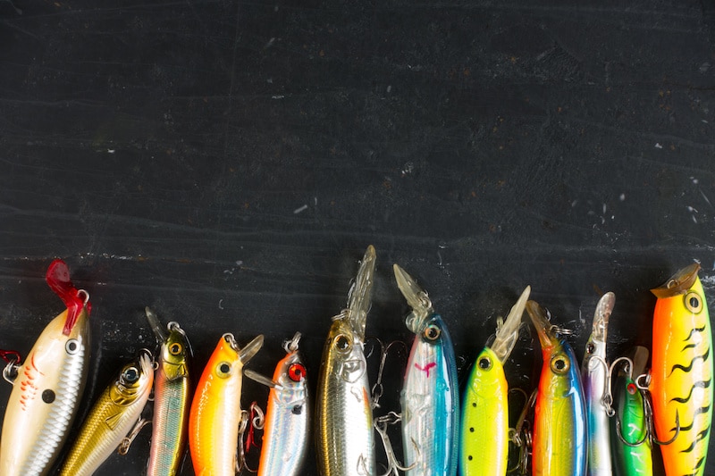 Best Lures for Beginners: Try These Seven Great Beginner Fishing Lures!