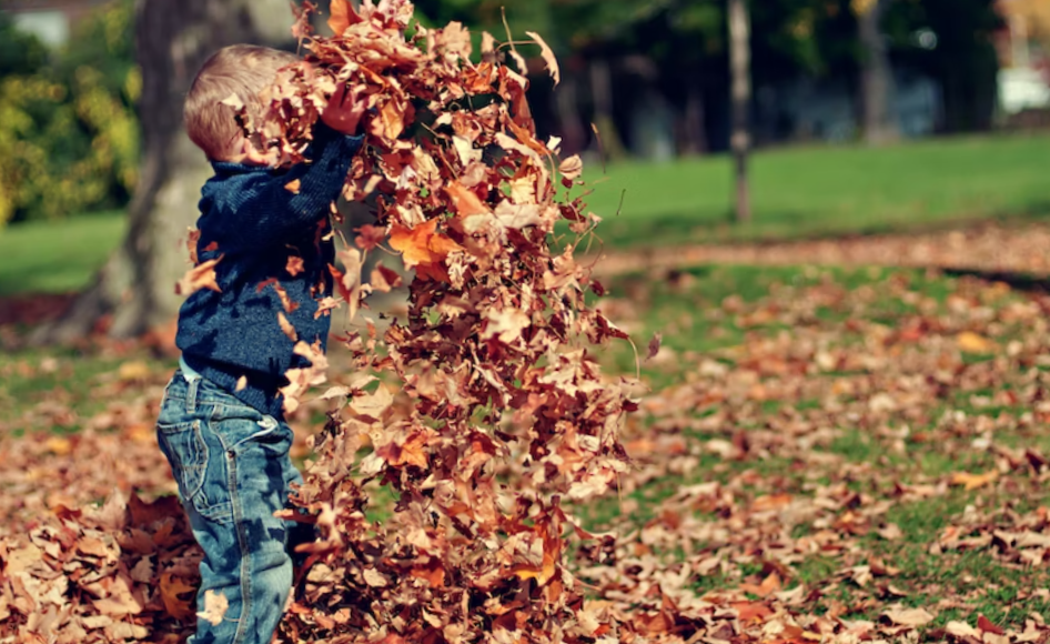 Child playing with dried leaves
