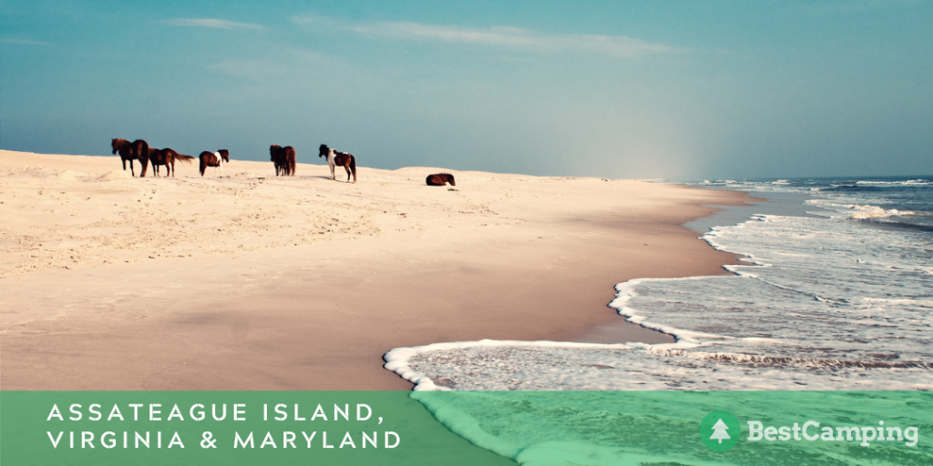 Assateague Island, Virginia & Maryland