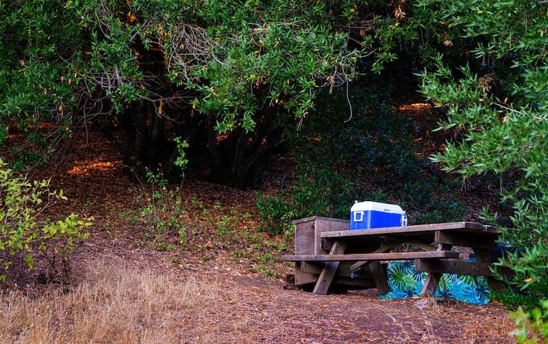 How to Store Cold Food While Camping><strong>Meats should be stored in a camping cooler with nothing other than similar meats and frozen water bottles.</strong> We recommend using frozen water bottles instead of ice packs, ice bags, or ice cubes, since these can be rinsed off and the water can be consumed later. This is a great way to save space while making the most of your supplies.</p>

<p>Most importantly, do not eat meat if it raises above 40˚F. <strong>Once meat reaches unsafe temperatures, there is no guarantee it can be cooked fully and safely during your camping expedition.</strong> </p>

<p>Finally, remember that animals like bears and wild dogs have extraordinary senses of smell. They can smell the popcorn kernel stuck between your teeth a mile away… at least.</p>

<p>Remember, we’re not talking about Yogi Bear. Wild animals are hungry and dangerous. That’s why it’s so important to keep all your food and food-related items stored properly, and as cool as possible. Don’t leave anything out to spoil, warm, or to light its scent on the wind. <strong>We don’t know how to put it any more clearly: dangerous animals will follow the smell of food.</strong> Period.</p>

<h2 id=