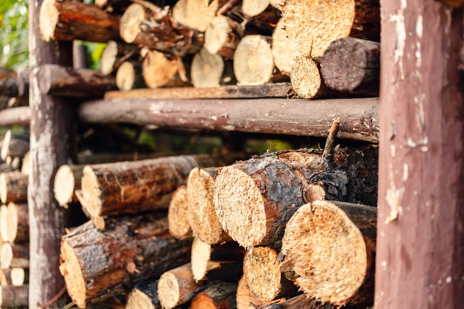 How to Properly Store Firewood