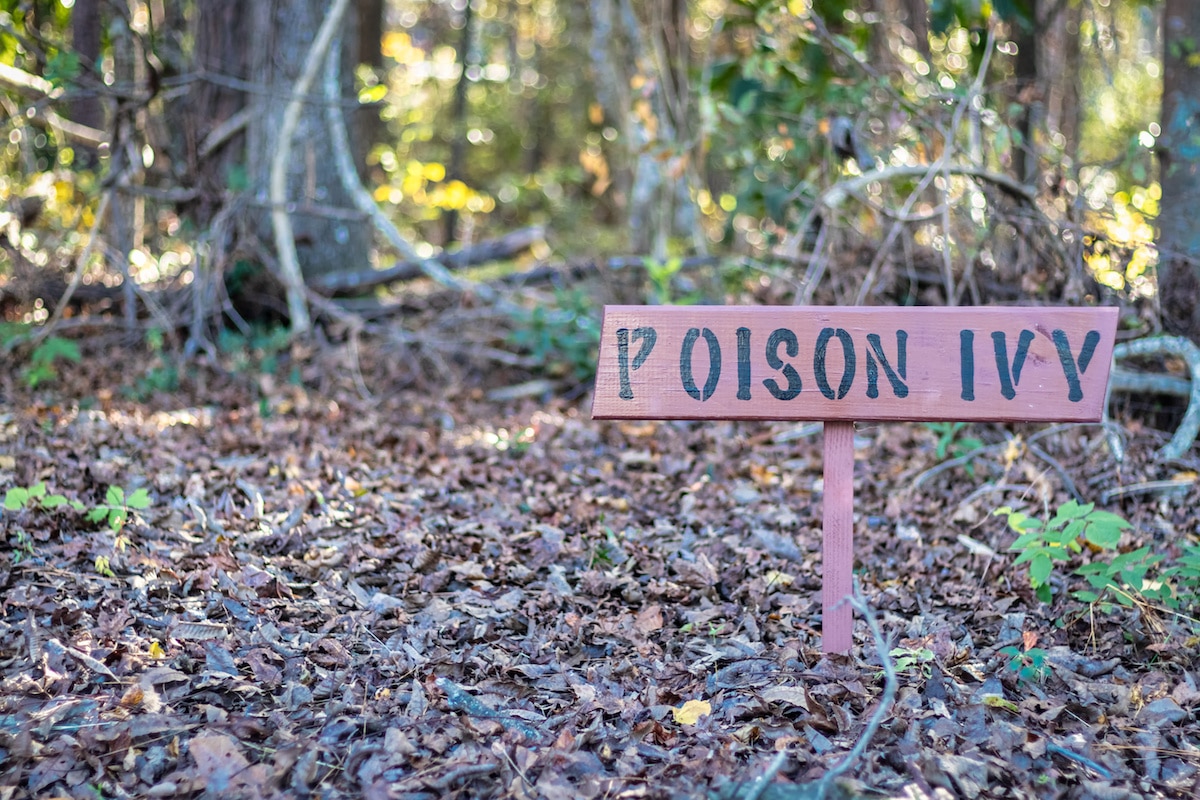 Poison Ivy Prevention & Treatment: How to Stay Safe When Encountering Poison Ivy, Oak, & Sumac