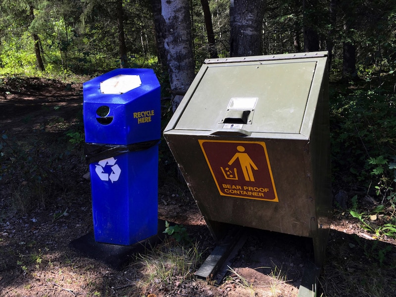 Bear-Proof Trash and Recycling Bins to Stop Animals From Getting Human Trash