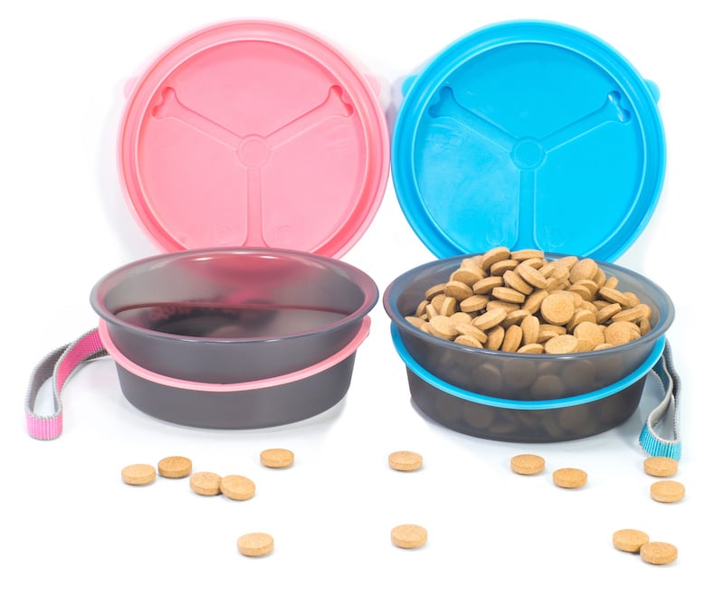 Why Should You Use Collapsible Dog Bowls?