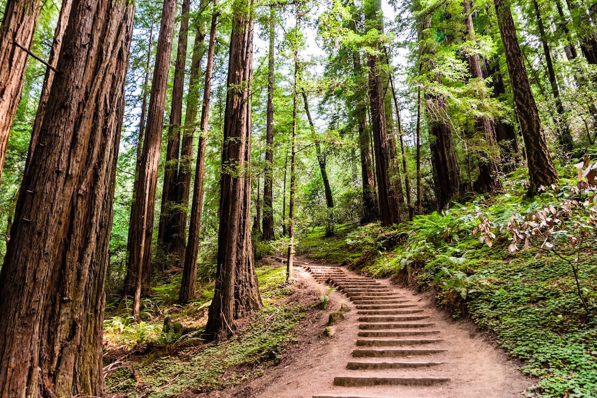 How to Start Hiking
